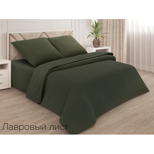 Пододеяльник евро поплин однотонный